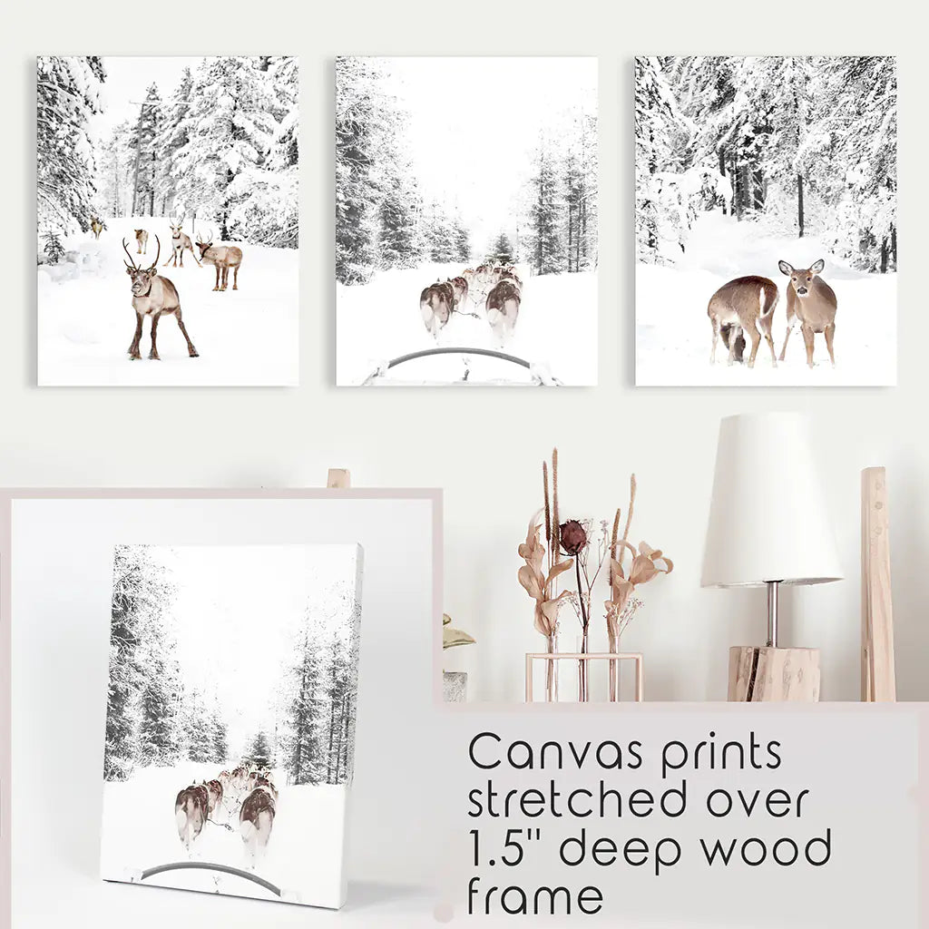 Winter Woodland Photo Set of 3. Fawn, Dog Sledding